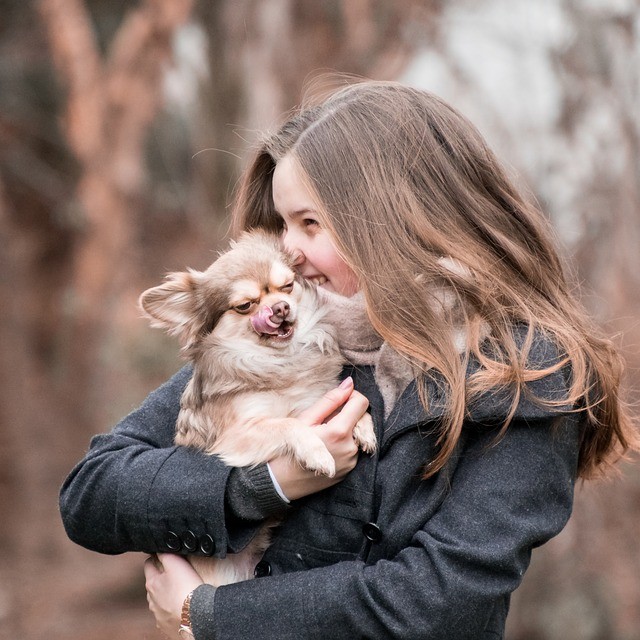 hondopvoeden1 | Alle informatie over honden honden opvoeden
