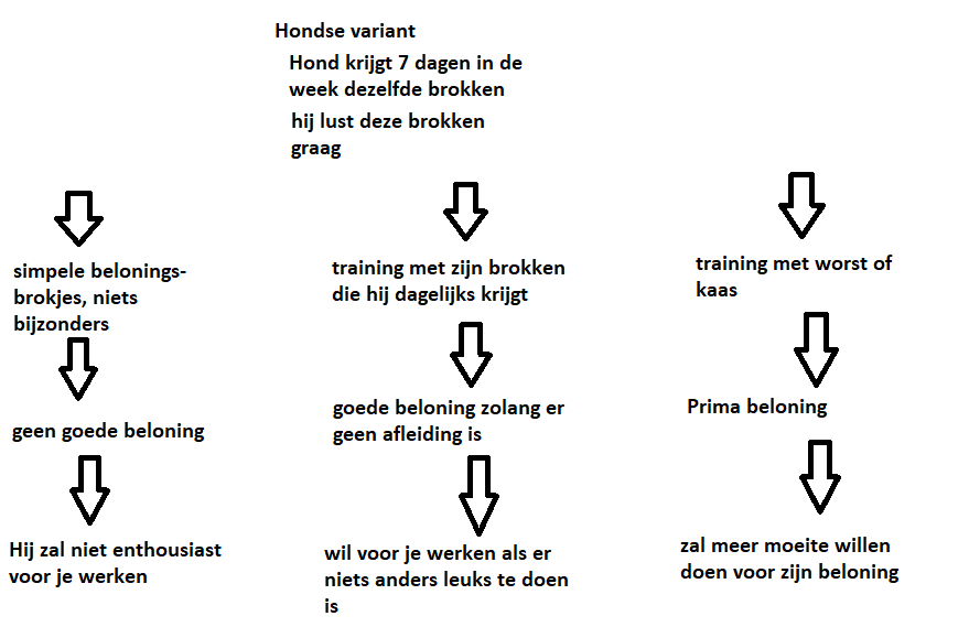 hondbelonenhondcorrigeren2 | Alle informatie over honden hond belonen hond corrigeren